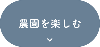 ブルーベリー