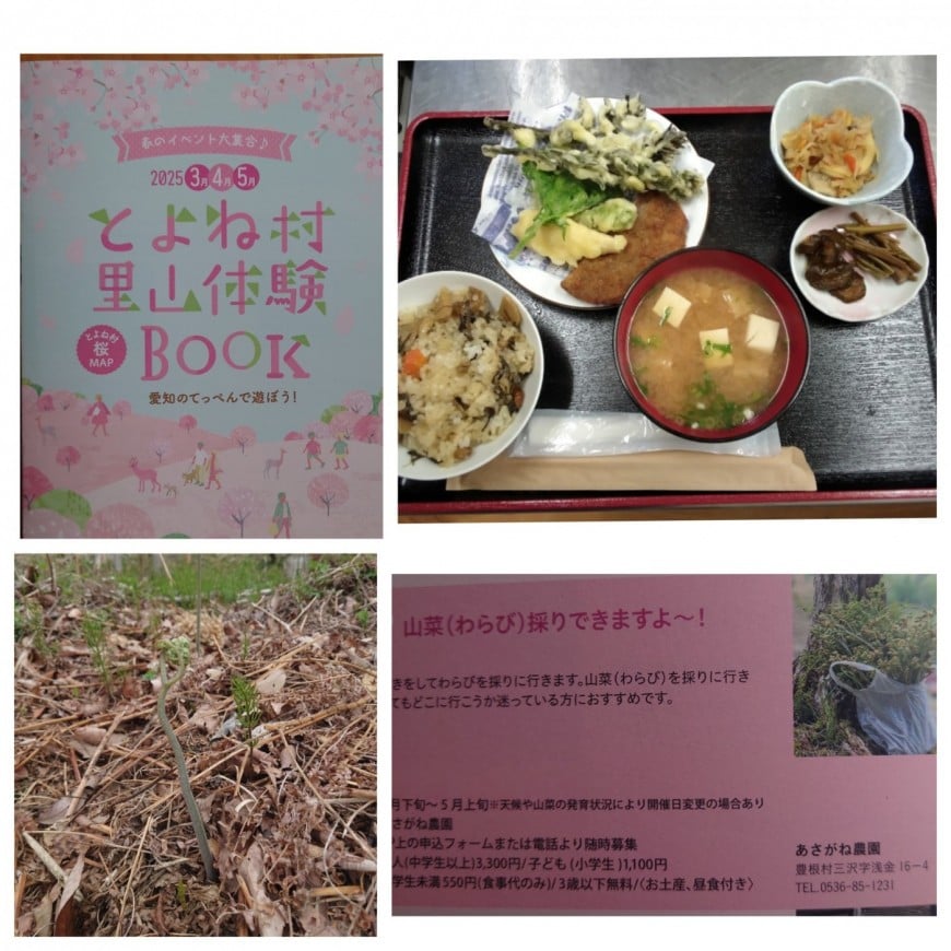 豊根村里山体験BOOK_パンフレット